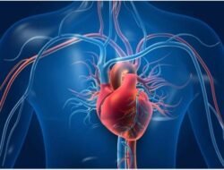Disebut HeartCon, Jantung Buatan Tersebut Dikembangkan Bersama oleh Rumah Sakit Kardiovaskular Internasional TEDA